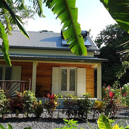 La Case Floria Saint-Andre Ngoại thất bức ảnh