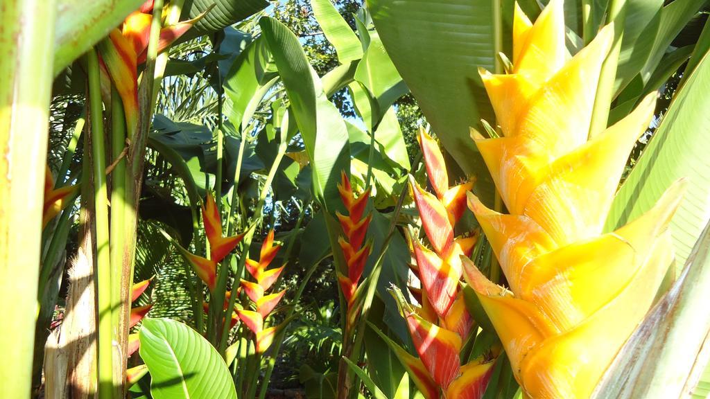 La Case Floria Saint-Andre Ngoại thất bức ảnh