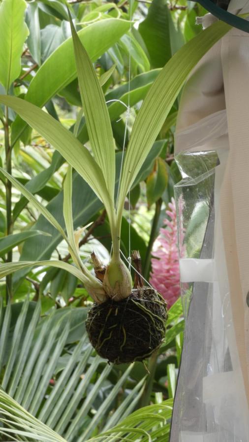 La Case Floria Saint-Andre Ngoại thất bức ảnh